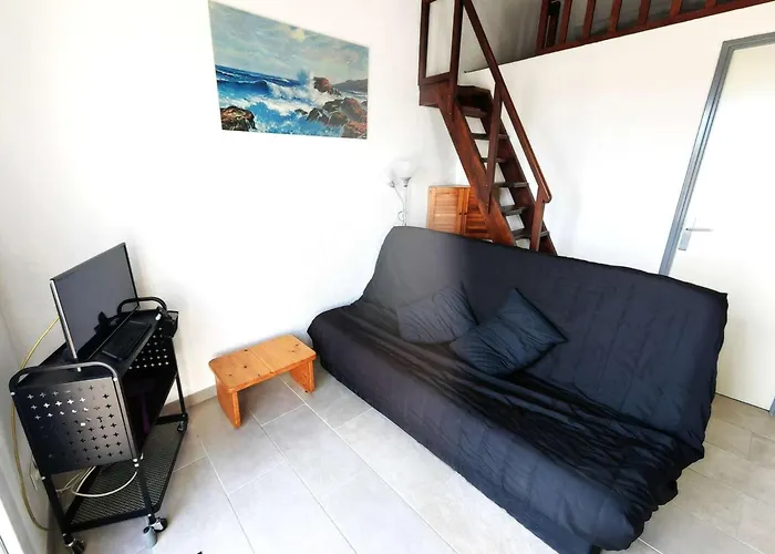 Mezzanine Au Coeur De La Pinede, A 800m De La Plage, 4 Pers, Parking Privatif - Fr-1-607-191 * Agde